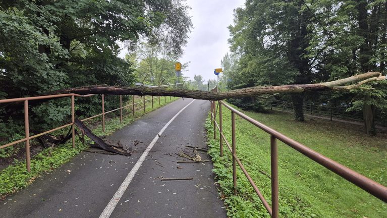 Dne 2. 8. v 9:19 byla jednotka povolána na TECHNICKOU POMOC – ODSTRANĚNÍ STROMU, strom na cyklostezce.