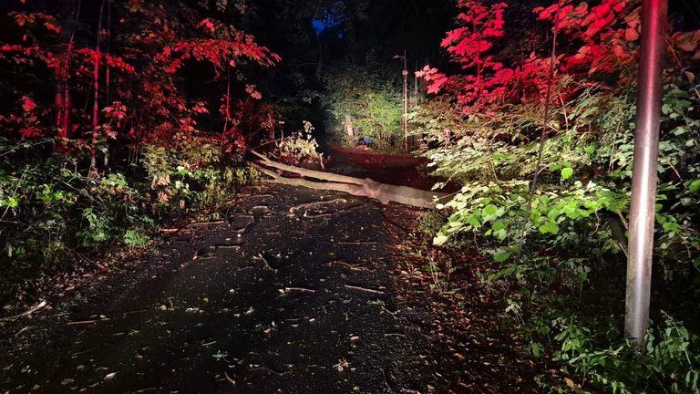 Dne 17. 8. ve 20:16 byla jednotka povolána na TECHNICKOU POMOC – ODSTRANĚNÍ STROMU, strom na cestě.